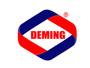 VIỆN NĂNG SUẤT CHẤT LƯỢNG DEMING