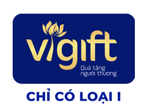 Vigift - Đặc Sản Quà Đà Nẵng Vigift - Đặc Sản Quà Đà Nẵng