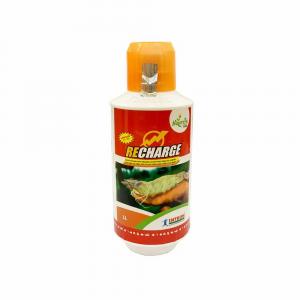 RECHARGE - Axit hữu cơ cho nuôi tôm
