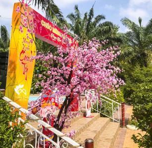 Trang Trí Cổng Xuân